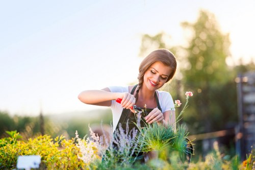Professional lawn mowing in Harold Park for a neat suburban yard