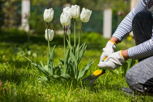 Inclusive digital access statement for Harold Park gardening content