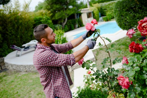 Example garden cleanup pricing for busy Harold Park properties