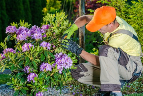 Gardeners Harold Park safety-focused team working outdoors