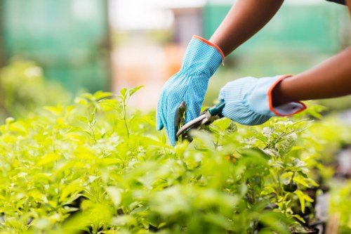 Load-based and cubic-yard rates for local garden jobs