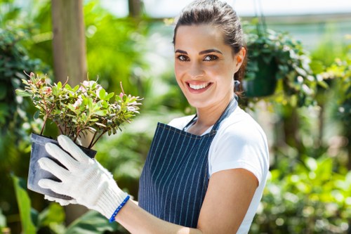 Professionally trimmed hedge in a Harold Park garden