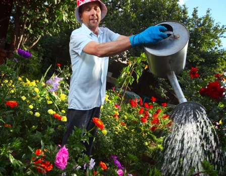 Final review step in a gardening complaint procedure