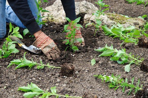 Reusable garden materials prepared for charity partnerships