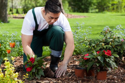 Professional gardeners handling a residential outdoor service
