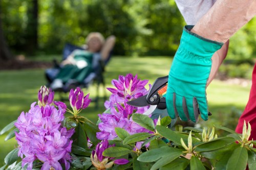 Different fencing material options suitable for Harold Park homes