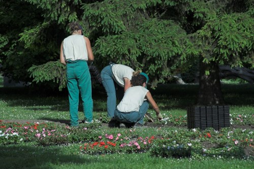 Final view of a well-maintained Harold Park garden