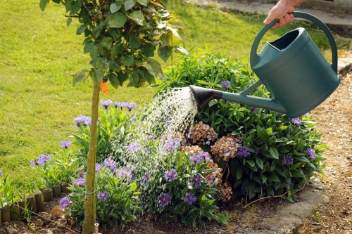 Harold Park garden maintenance with healthy plants and tidy beds