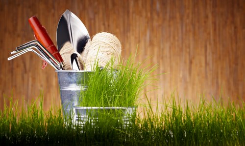 Professional arborist providing tree care services in Harold Park