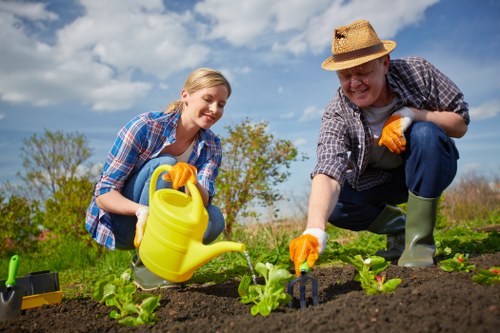 Regular garden maintenance in Harold Park with hedge trimming and mulching