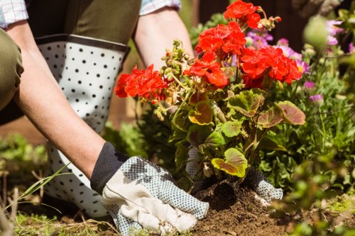 Gardeners Harold Park annual review image 4