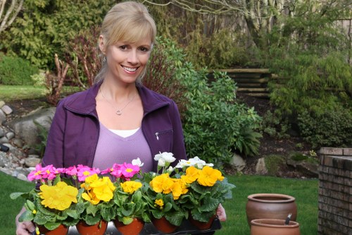 Local gardeners in Harold Park caring for lawns and seasonal planting