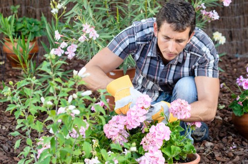 Screen-reader friendly content structure for Gardeners Harold Park