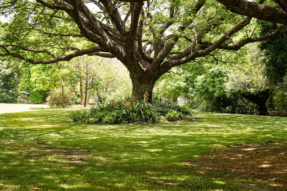 A small landscaped garden area featuring a circular flower bed edged with red and green foliage plants, situated on a tidy gravel pathway. To the left, lush green trees and bushes provide shade and na