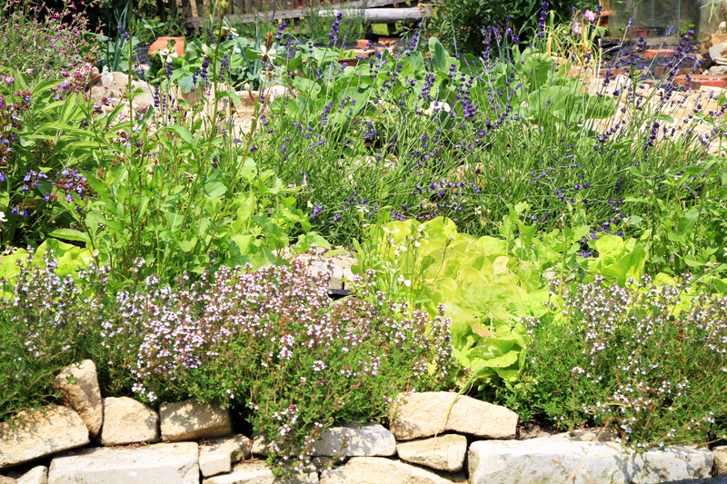 Garden lawn